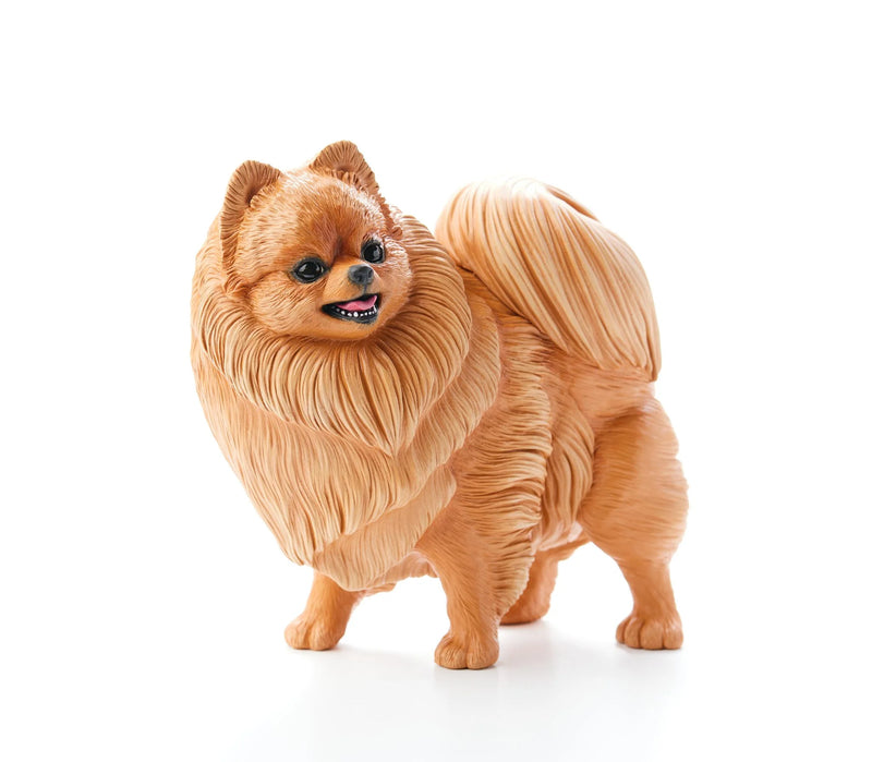 Pomeranian