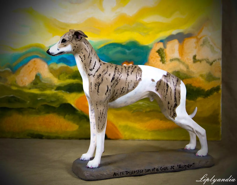 Whippet