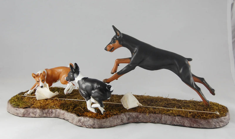 Basenji Coursing