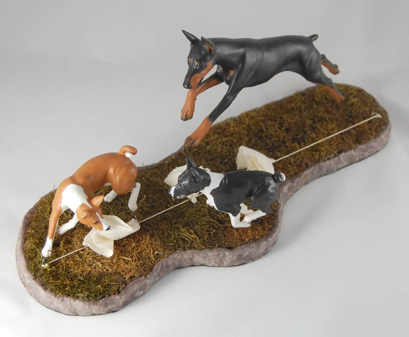 Basenji Coursing