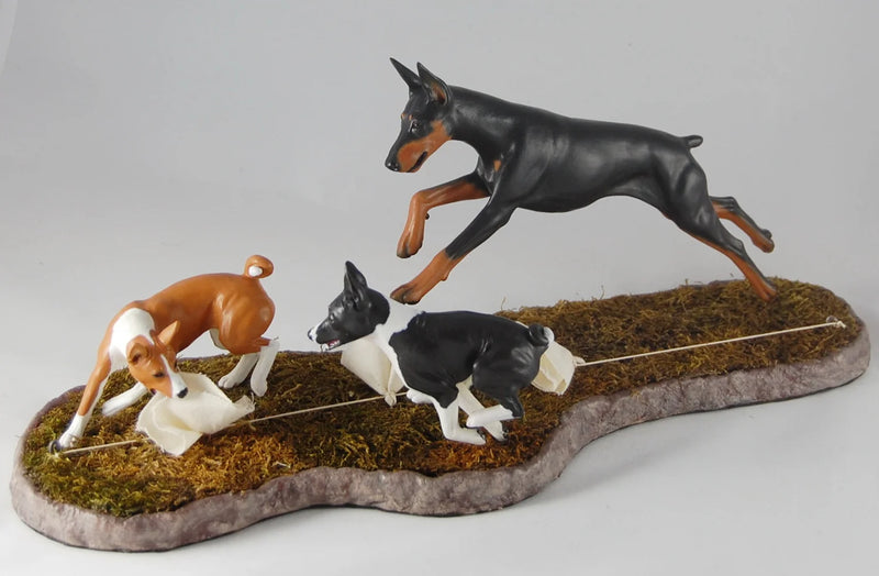 Basenji Coursing