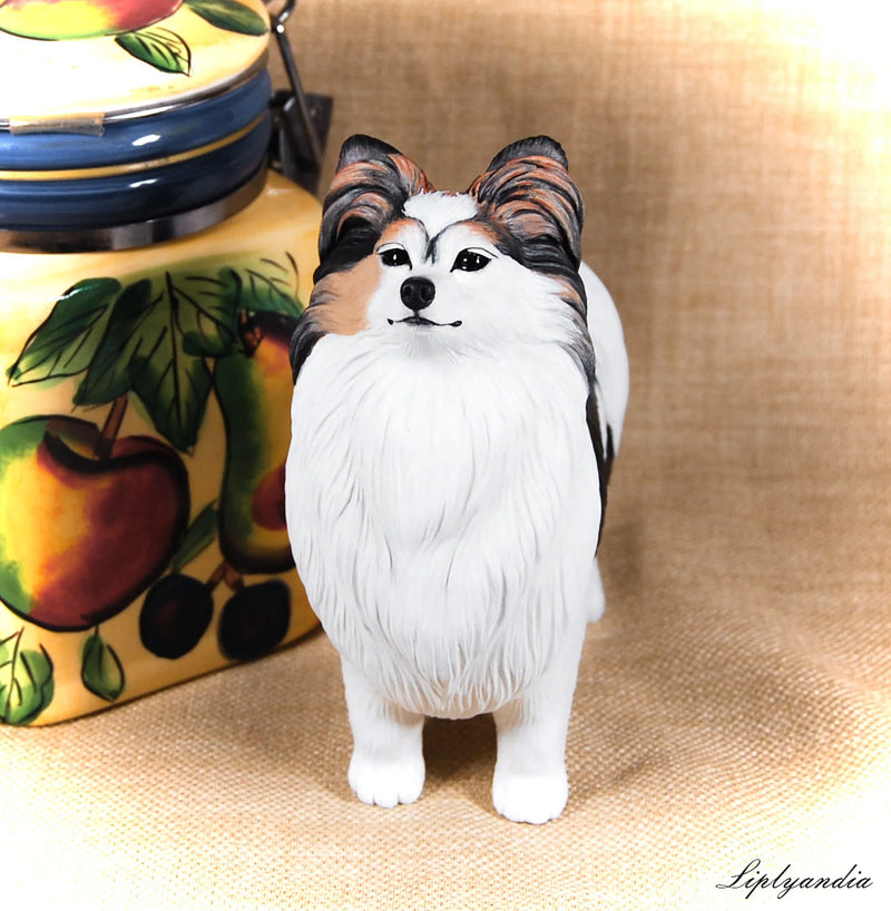 Papillon