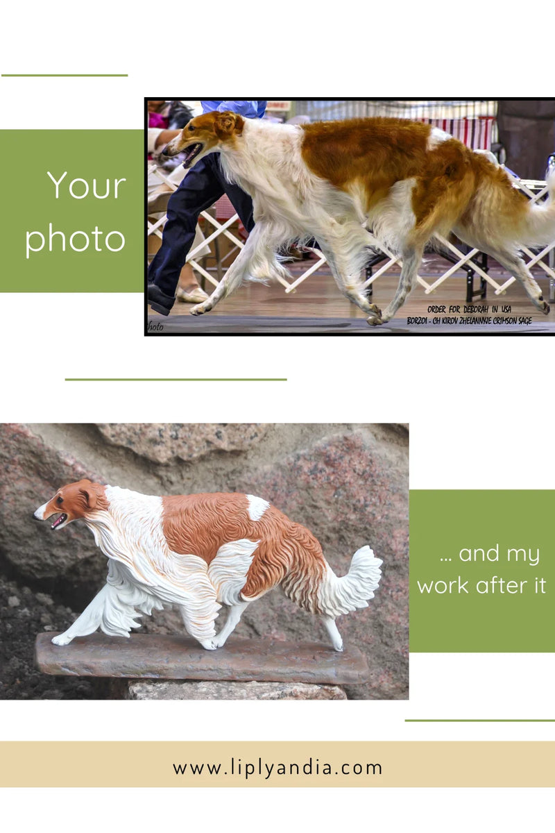 Borzoi