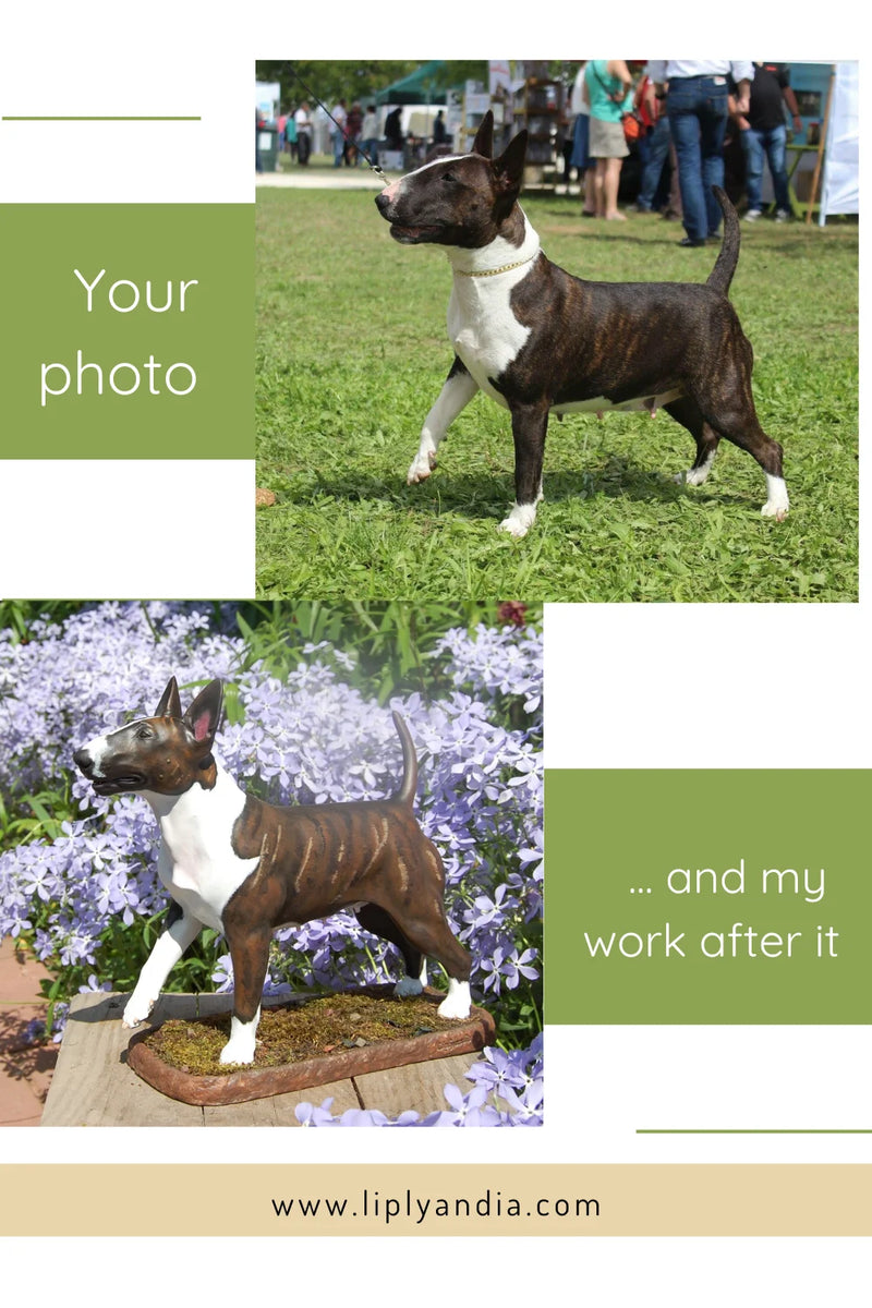 Bullterrier