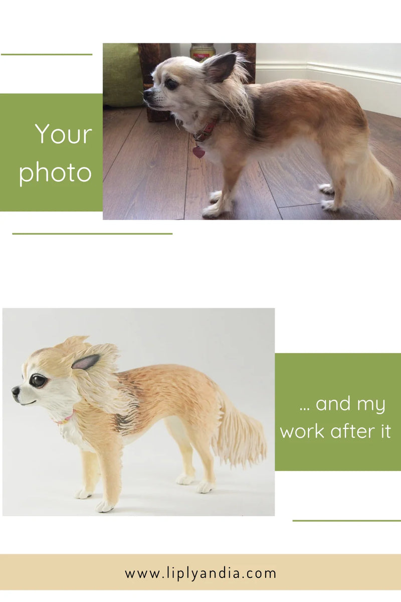 Chihuahua