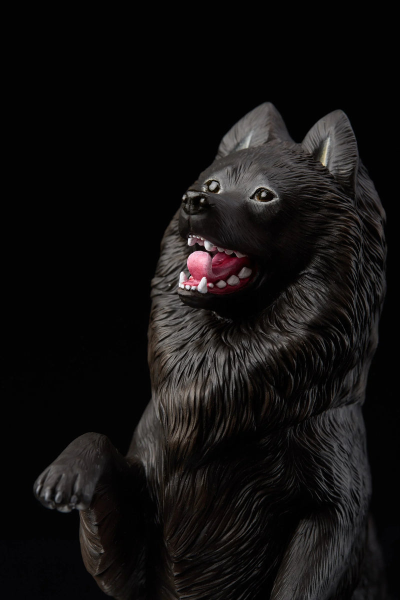 Schipperke