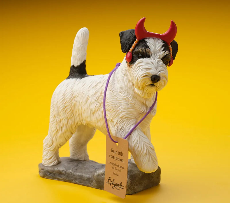 Jack Russell Terrier