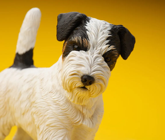 Jack Russell Terrier