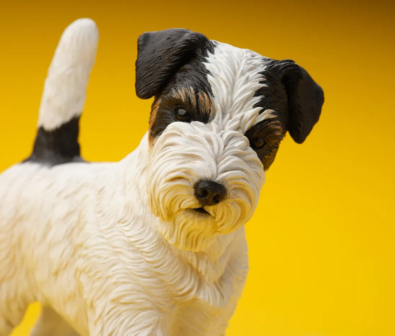 Jack Russell Terrier