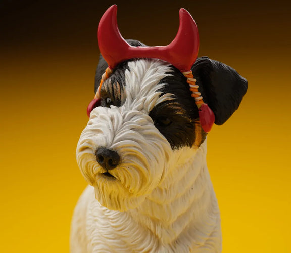 Jack Russell Terrier