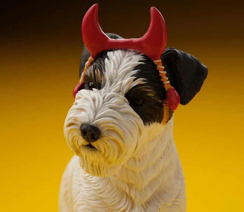 Jack Russell Terrier