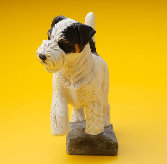 Jack Russell Terrier