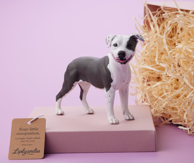 American Staffordshire Terrier