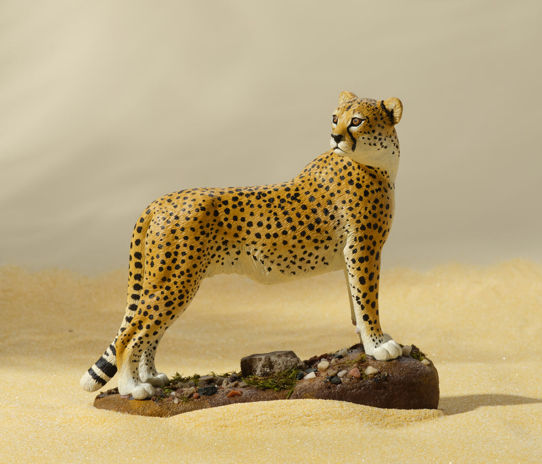 Cheetah