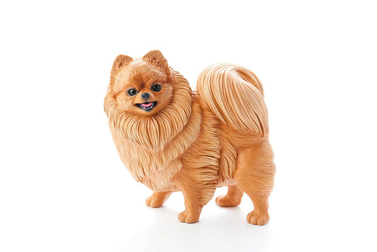 Pomeranian