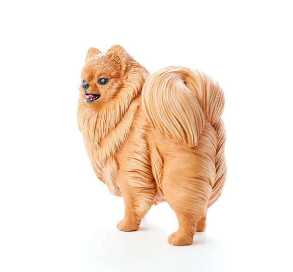 Pomeranian