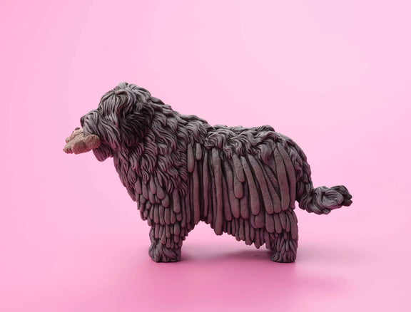 Bergamasco Sheepdog