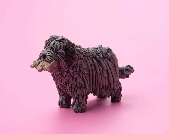 Bergamasco Sheepdog