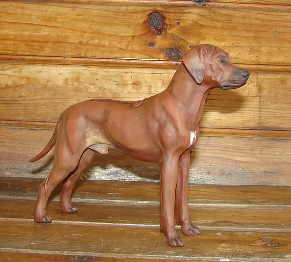 Rhodesian Ridgeback