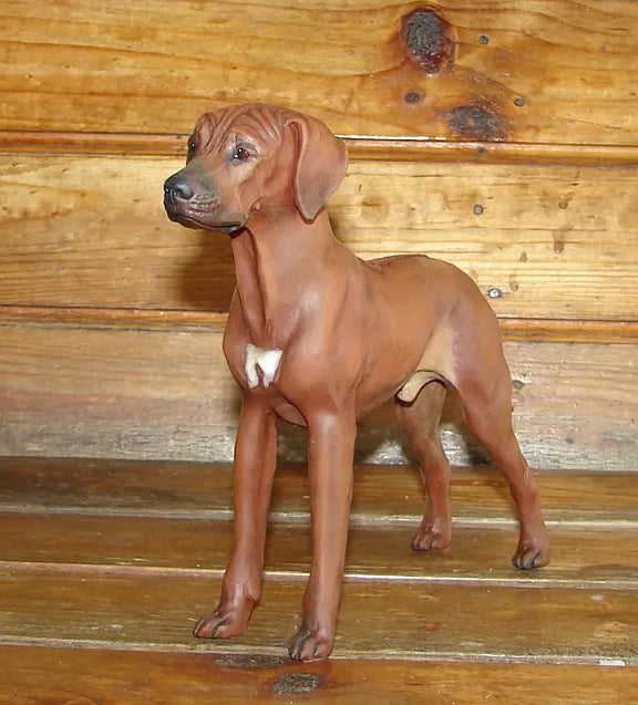 Rhodesian Ridgeback