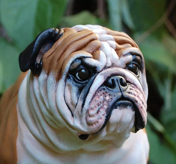 Bulldog