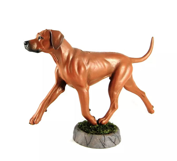 Rhodesian Ridgeback