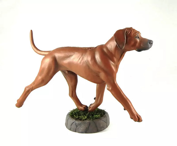 Rhodesian Ridgeback