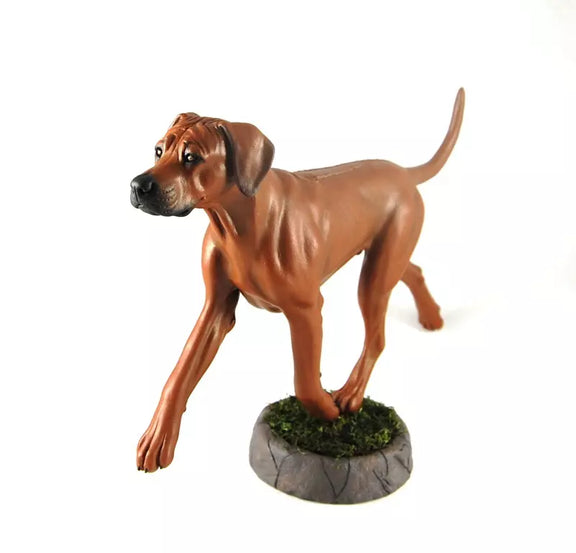 Rhodesian Ridgeback