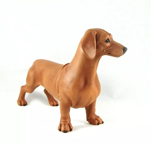 Dachshund