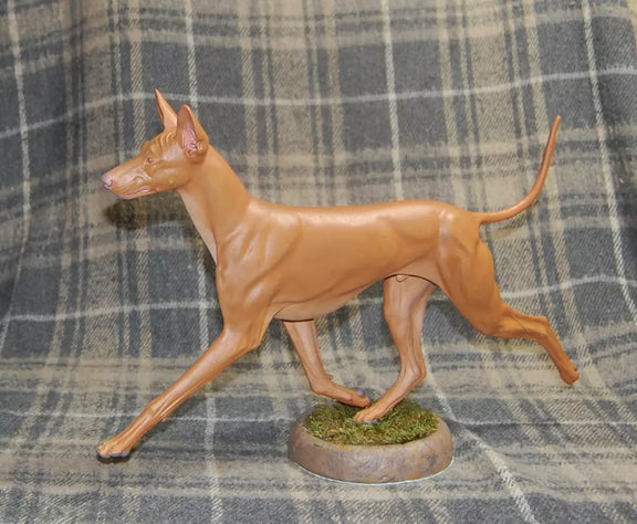 Pharaoh Hound