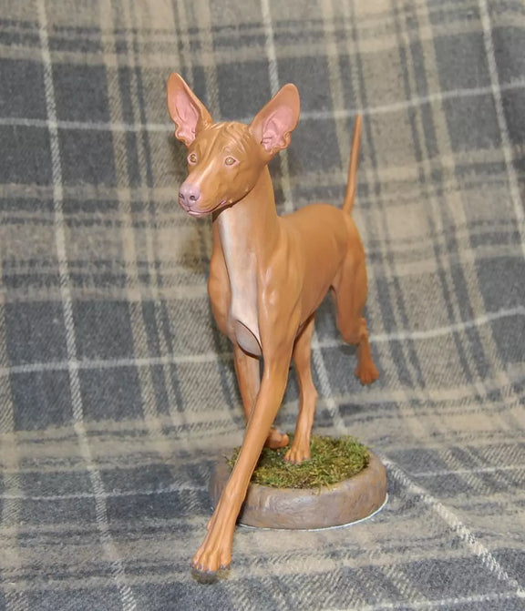 Pharaoh Hound