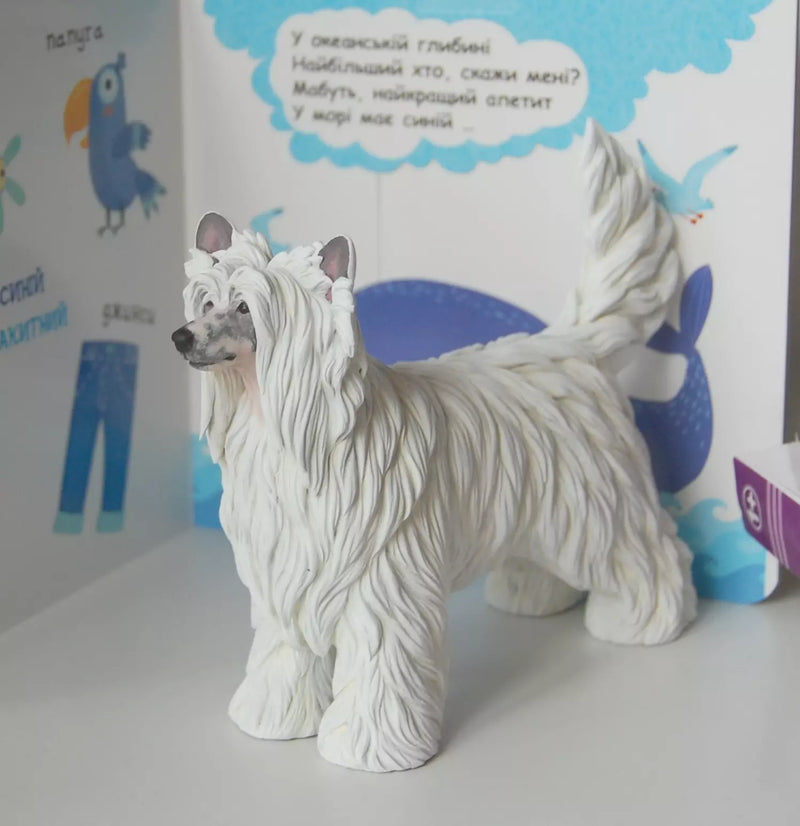 Chinese Crested and Powder Puff Dog