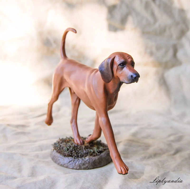 Redbone Coonhound