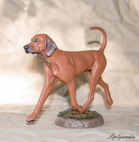 Redbone Coonhound