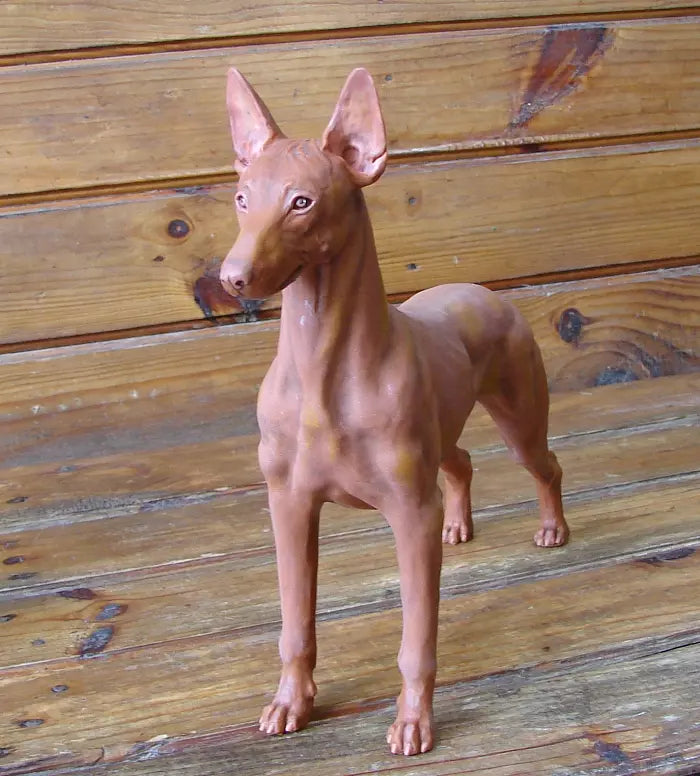 Pharaoh Hound