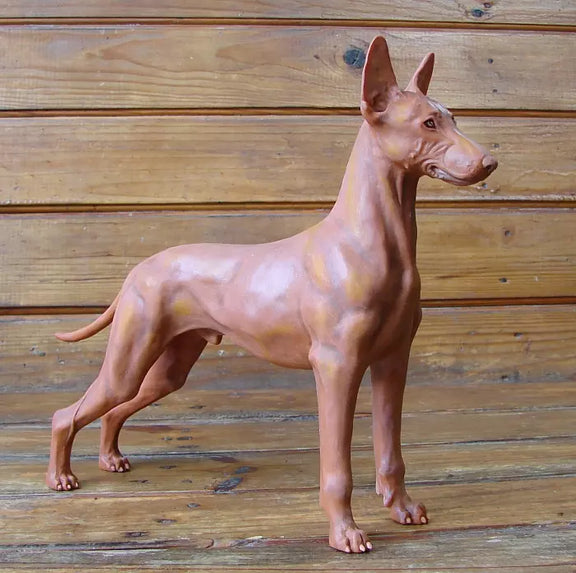 Pharaoh Hound