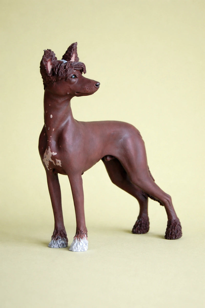 Chinese Crested and Powder Puff Dog