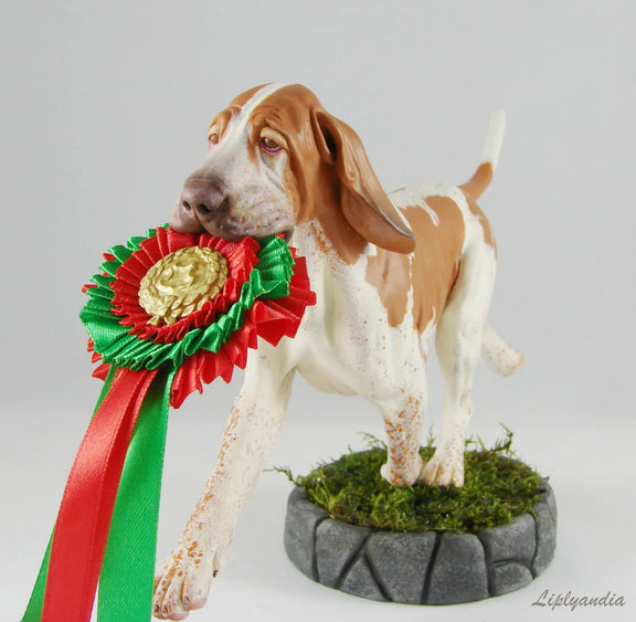 Bracco Italiano