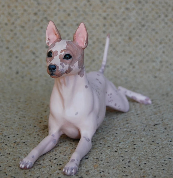 American Hairless Terrier