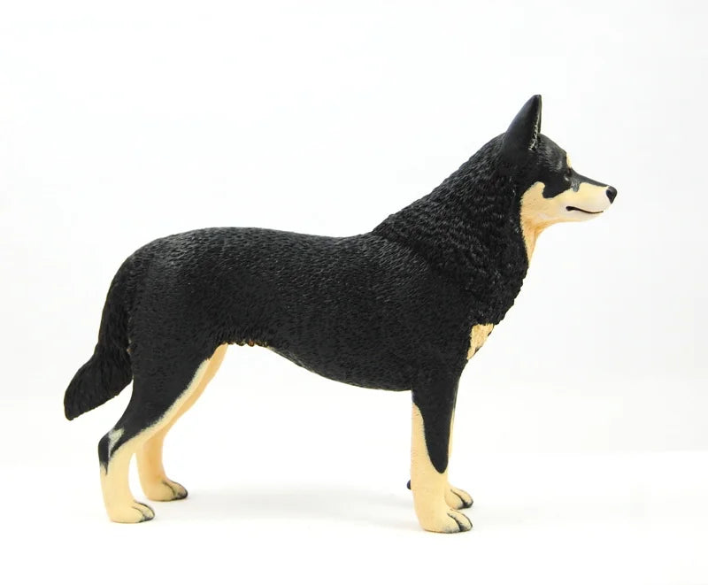 Lapponian Herder (Lapinporokoira)