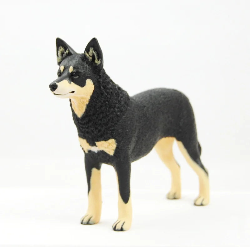 Lapponian Herder (Lapinporokoira)