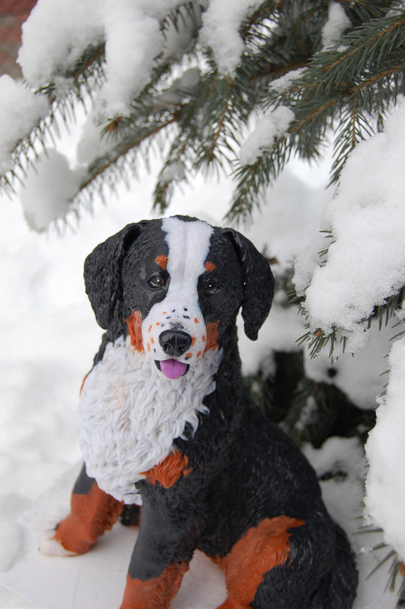 Bernese Mountain Dog