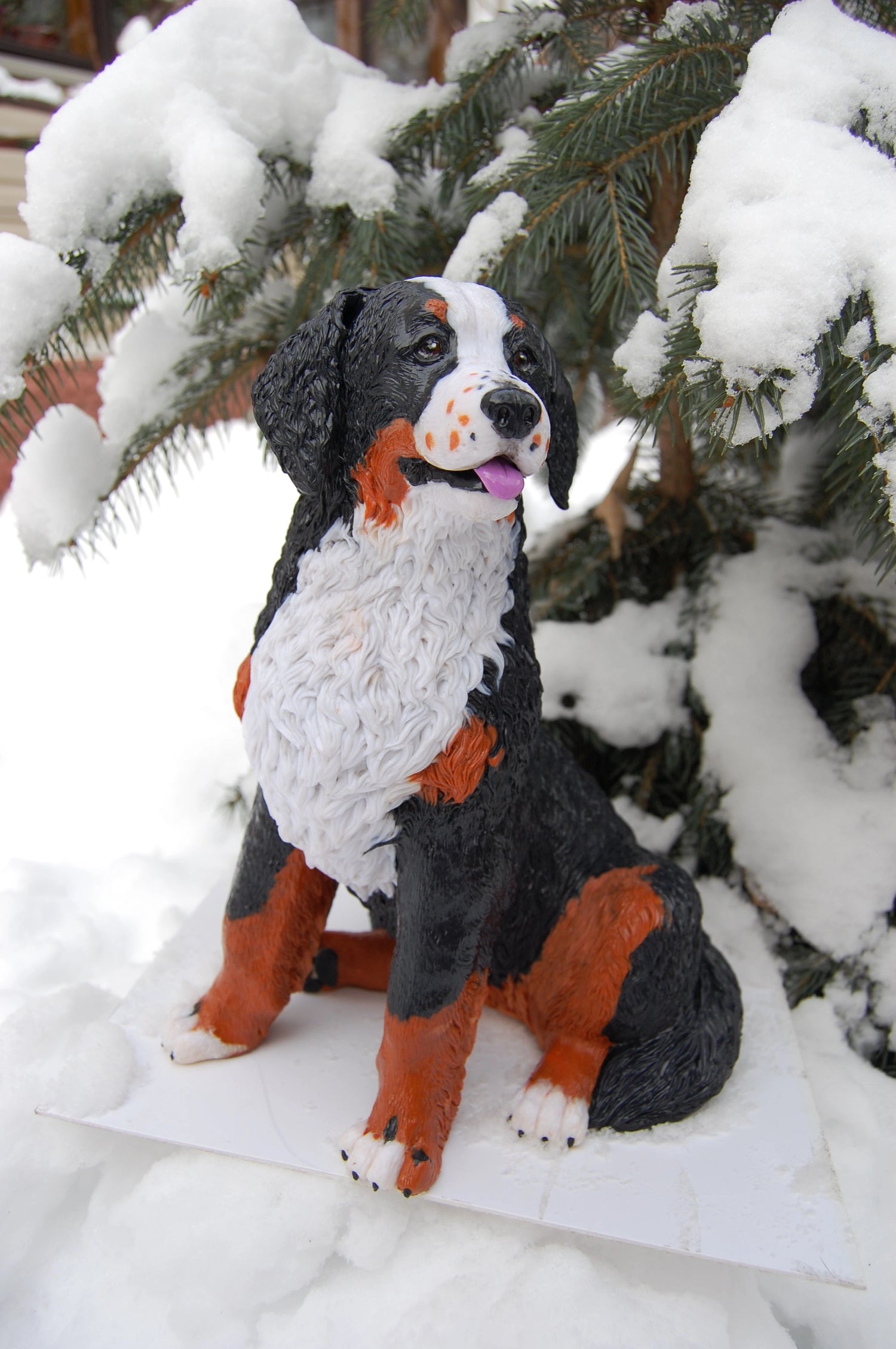 Bernese Mountain Dog