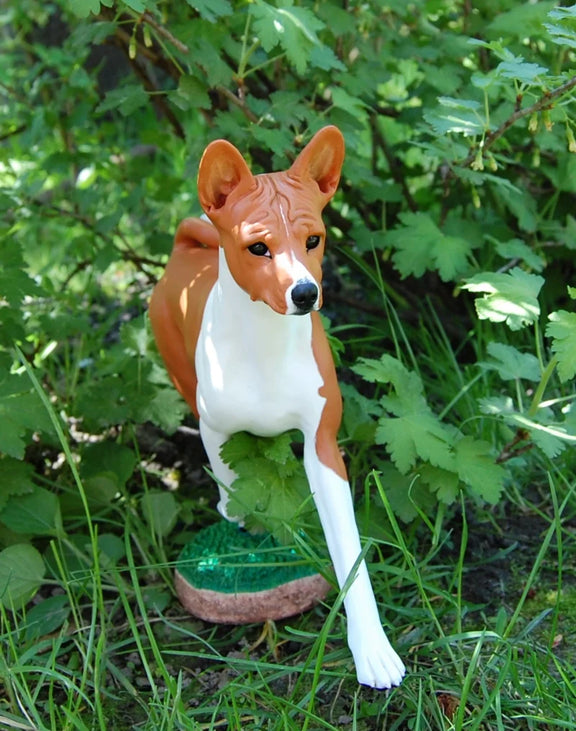 Basenji