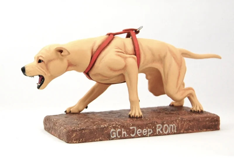 American Pit Bull Terrier