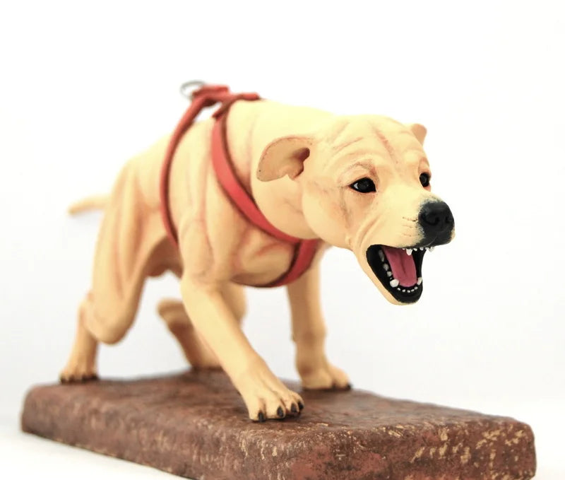 American Pit Bull Terrier