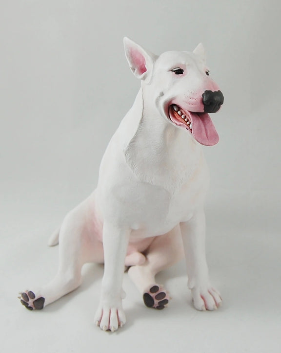 Bullterrier