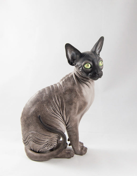 Sphynx Cat