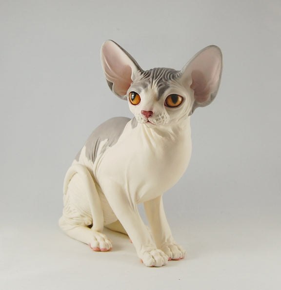 Sphynx Cat