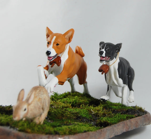 Basenjis chasing a rabbit